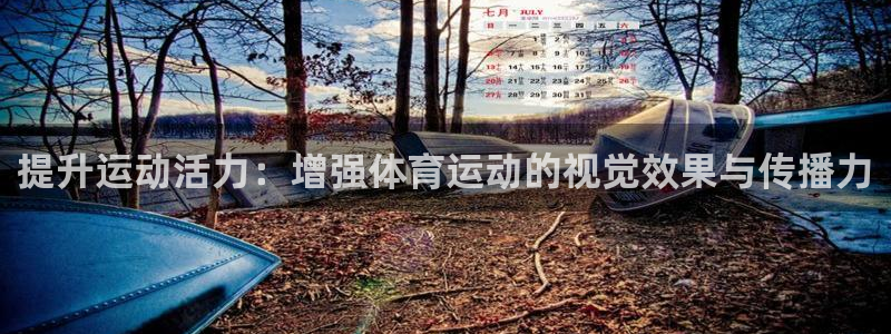 球王会体育：提升运动活力：增强体育运动的视觉效果与传播力