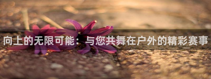 球王会体育：向上的无限可能：与您共舞在户外的精彩赛事