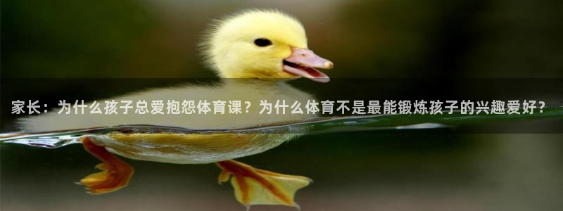 球王会体育：家长：为什么孩子总爱抱怨体育课？为什么体育不是最能锻炼孩子的兴趣爱好？