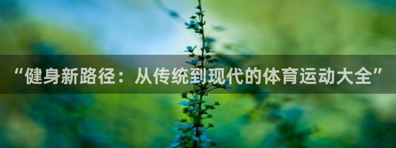 球王会体育：“健身新路径：从传统到现代的体育运动大全”