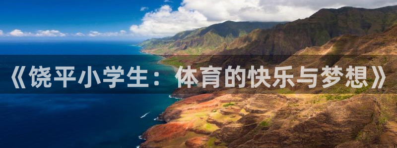 球王会体育：《饶平小学生：体育的快乐与梦想》