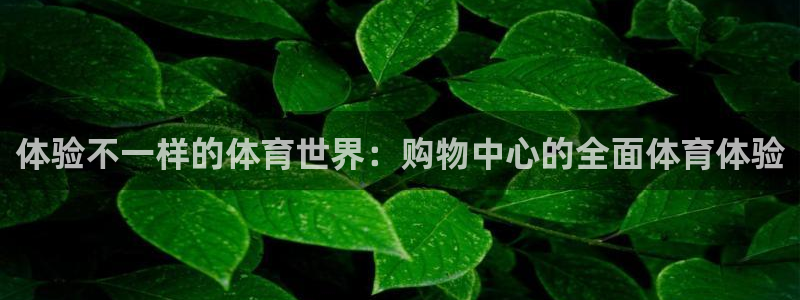 球王会体育：体验不一样的体育世界：购物中心的全面体育体验