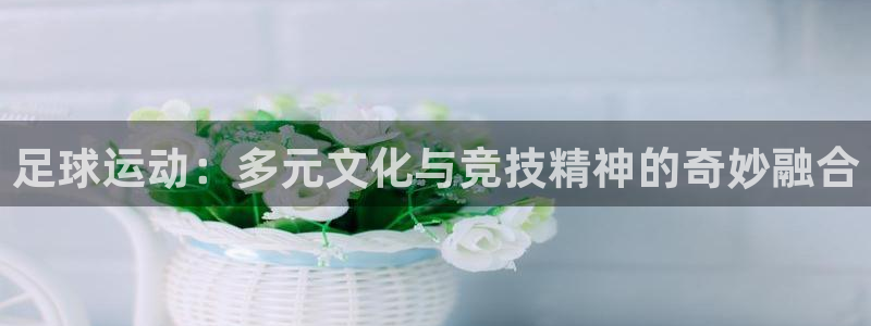 球王会体育：足球运动：多元文化与竞技精神的奇妙融合