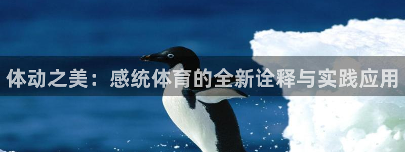 球王会体育：体动之美：感统体育的全新诠释与实践应用