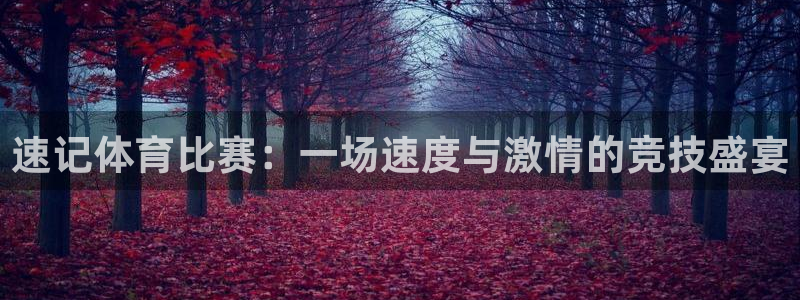球王会体育：速记体育比赛：一场速度与激情的竞技盛宴