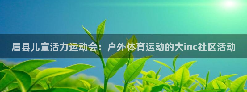 球王会体育：眉县儿童活力运动会：户外体育运动的大inc社区活动