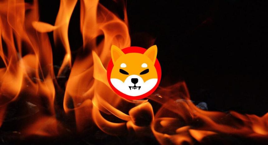 柴犬:SHIB 可能通过 3 种激进方式在 2 年内跌至 0.01 美元