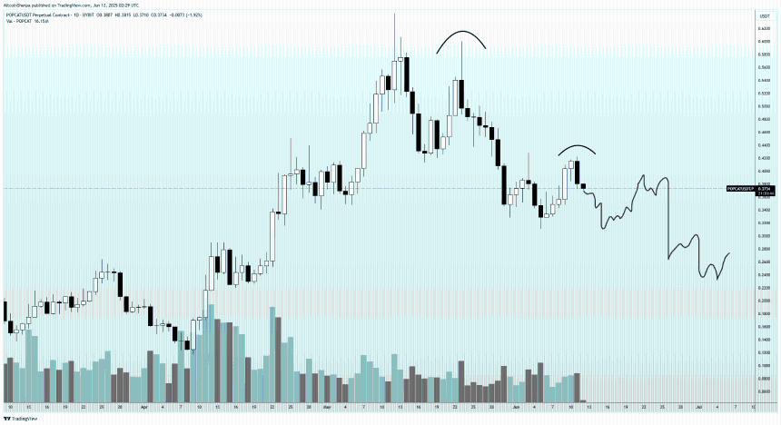 交易员预测：第一层山寨币或创新高，WIF与POPCAT面临50%回调风险